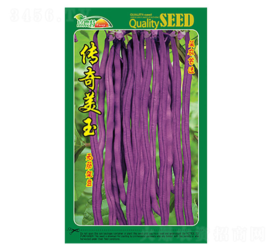 �o��ܶ�-��������-����