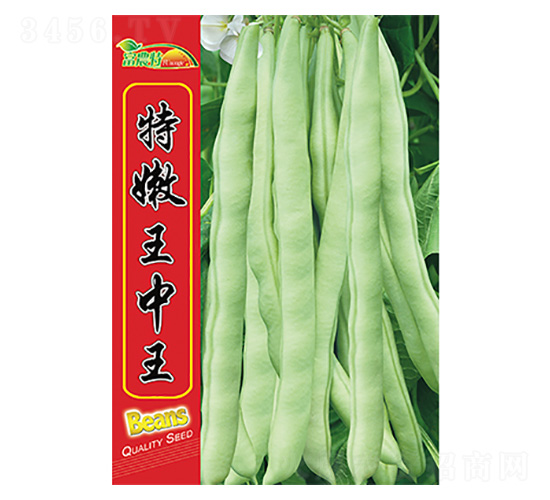 ���ǷN��-����������-����