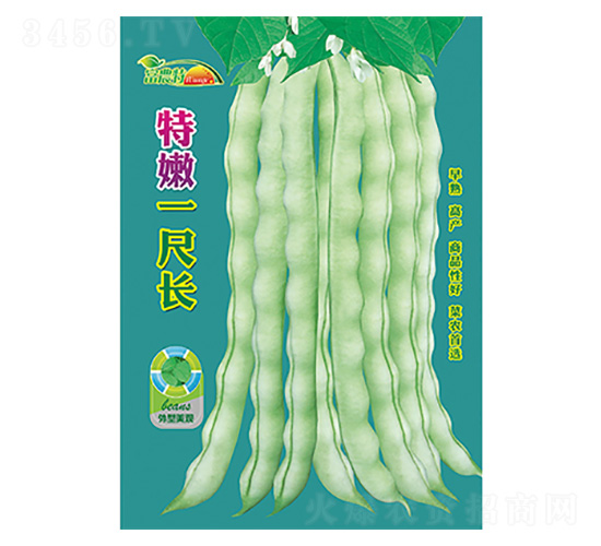 ���ǷN��-����һ���L-����