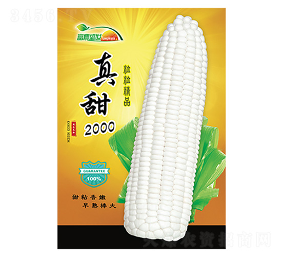 ���׷N��-����2000-����