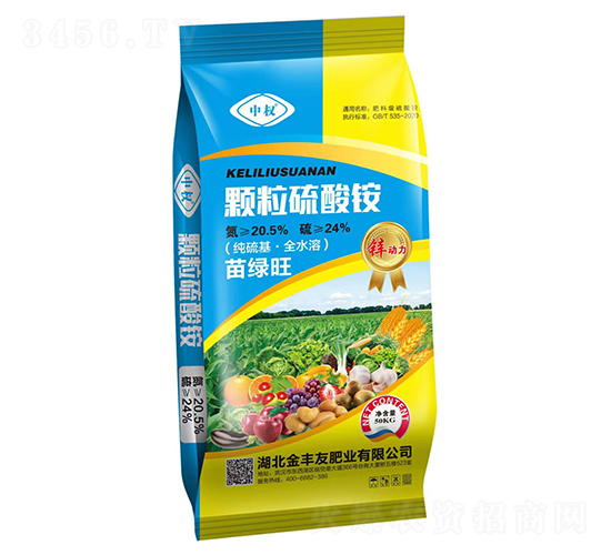 �w�������@-�Й�-���S��