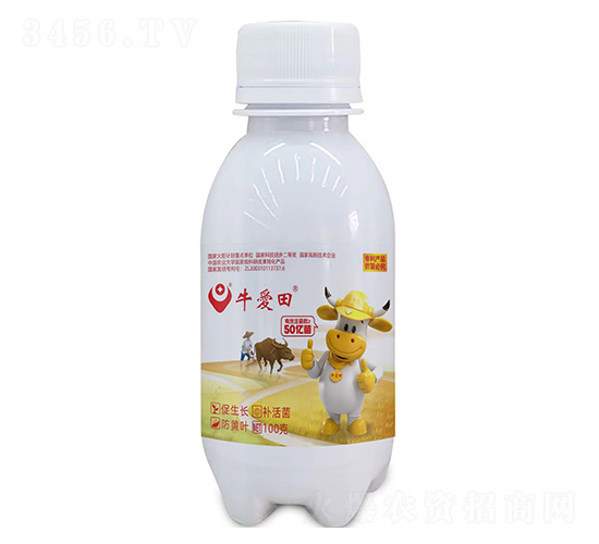 ţ����100��-��������