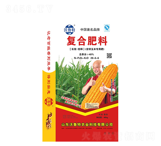 �ͺϷ���(���\���׌��÷�)28-6-6-������