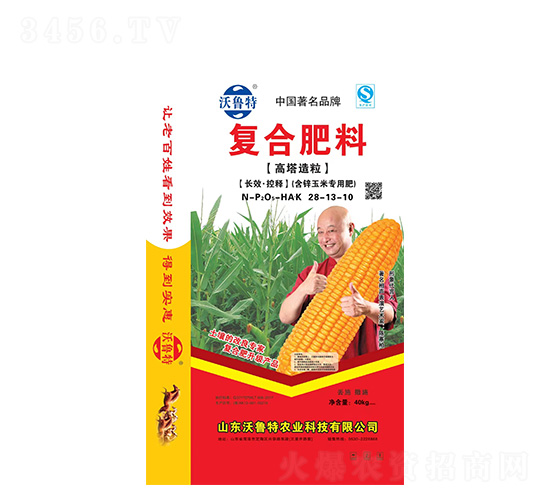 ��(f��)�Ϸ���(���\���׌��÷�)28-13-10-������