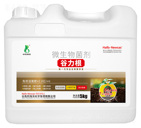 ΢�������-������-���r(n��ng)�W��