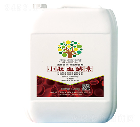 С��Ѫ����-΢�������-��ֲ��(sh��)