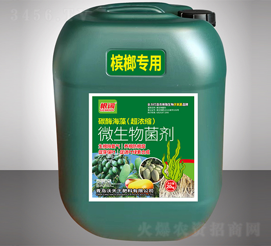 ���ƌ���΢�������-���-������