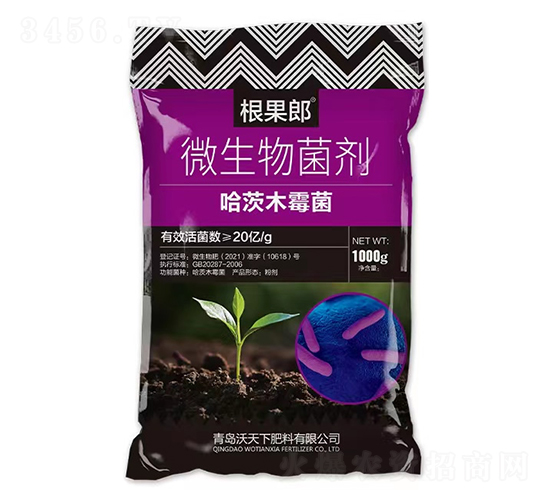 ����ľù��΢�������-������-������