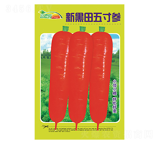 �}���N��-�º�����煢-����