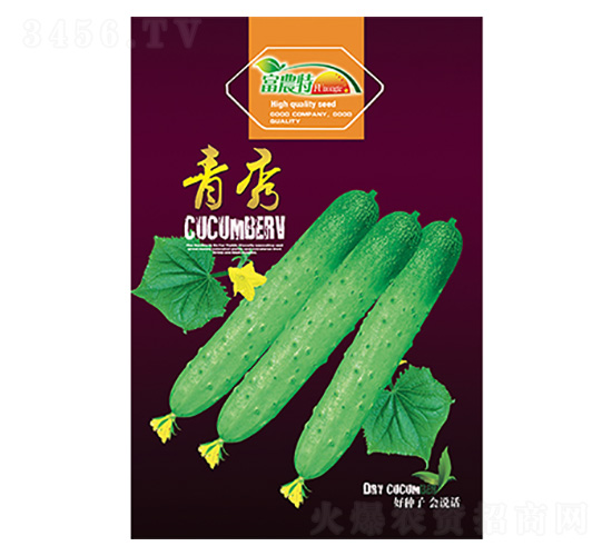 �S�ϷN��-����-����