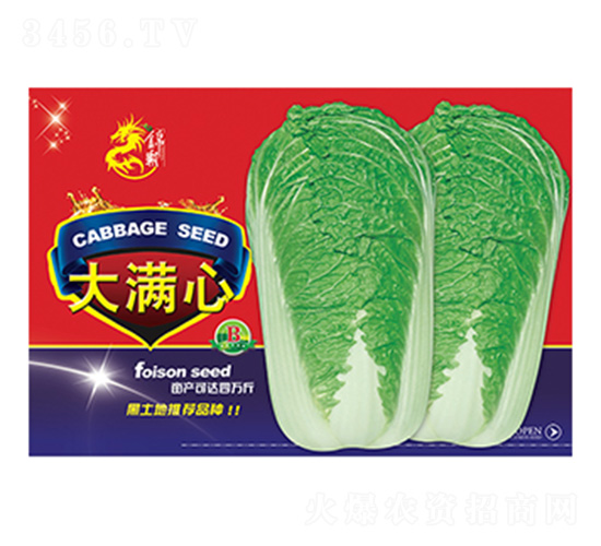 �ײ˷N��-��M��B-����