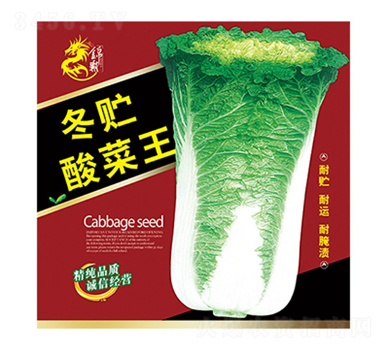 �ײ˷N��-���A�����-����