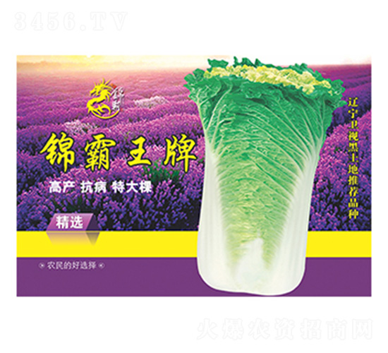 �ײ˷N��--����