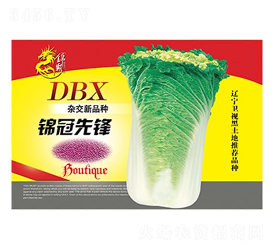 �ײ˷N��-�\�����h-����