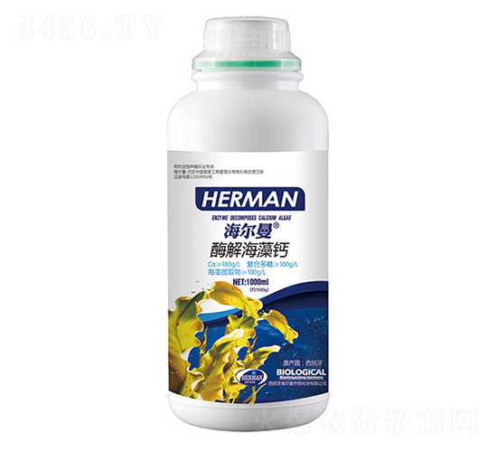 ø�⺣���}-������-�n��ʘI(y��)