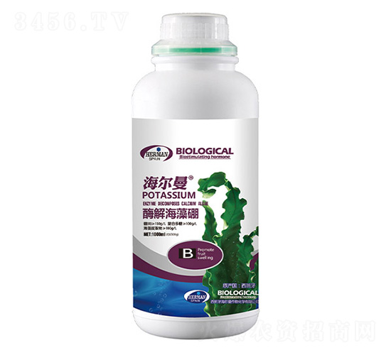 ø�⺣����-������-�n��ʘI(y��)