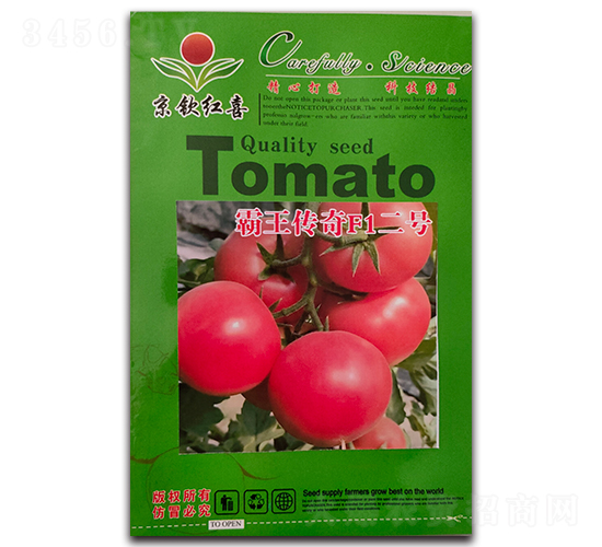 ��������F1��̖(h��o)-���t���N��-���J�tϲ