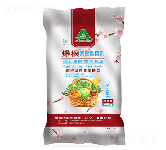 �������������-�۠���