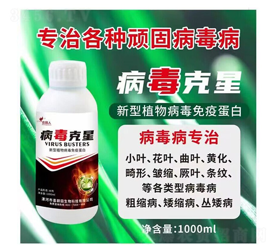 ��������-�f�@��-ϲ����