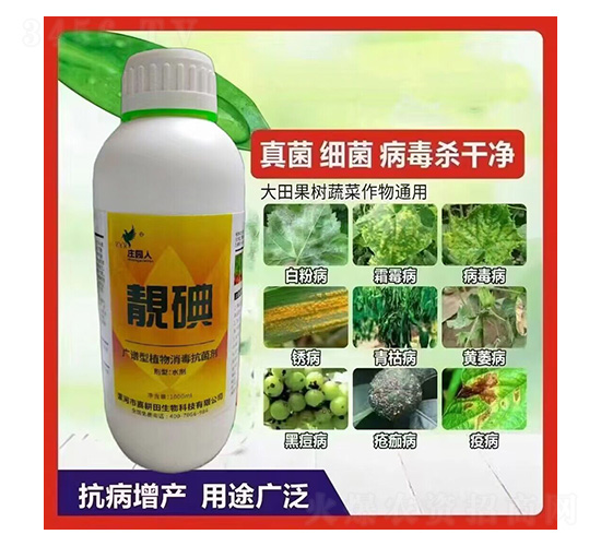 �n��-�f�@��-ϲ����