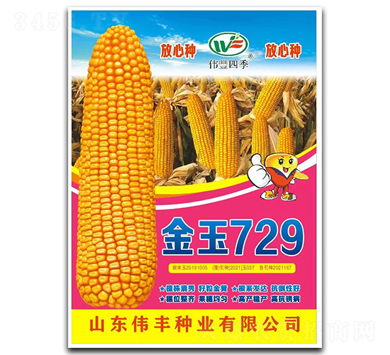 ����729-���׷N��-���S�N�I(y��)