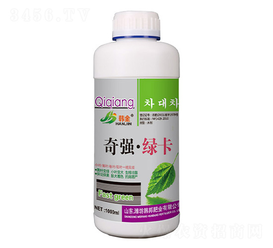 �揊���G��-�n��-�n��ʘI(y��)