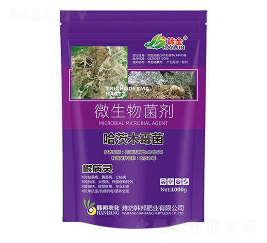 ����ľù��-�����`-�n��-�n��ʘI(y��)