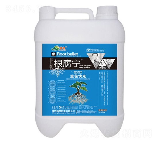 �ز���-������-�n��-�n��ʘI(y��)