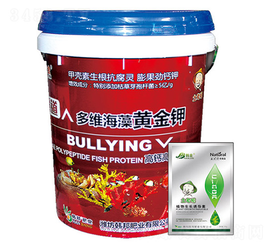 ���}����Ͷ�S�����S���-�n��-�n��ʘI(y��)