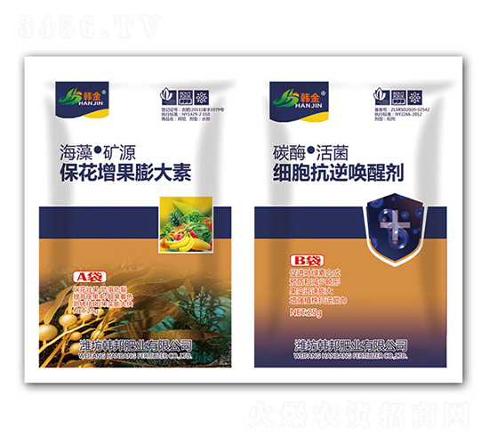 �������������-��(x��)�����憾�ф�-�n��-�n��ʘI(y��)