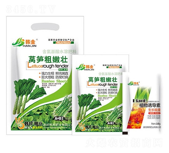 �n�S���ۉ�-�n��-�n��ʘI(y��)