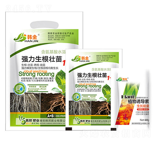 ������������1+1-�n��-�n��ʘI(y��)