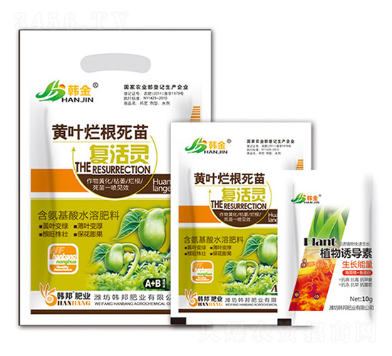 �S�~���������(f��)���`-�n��-�n��ʘI(y��)