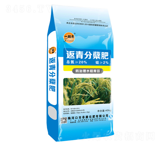 ������Y��-һ��ȫ-��������