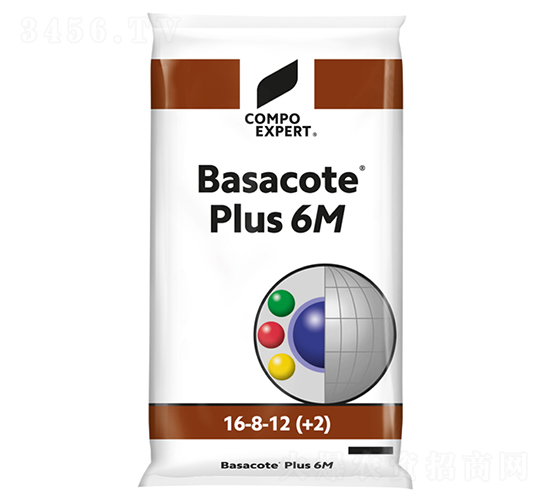 �^�p�@ˇ��16-8-12��6M��-���_��-����