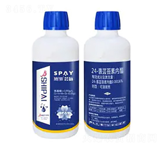 24-���|̦�؃�(n��i)֬-�|��-ʩ������