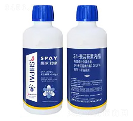 24-���|̦�؃�(n��i)֬-�|�\-ʩ������