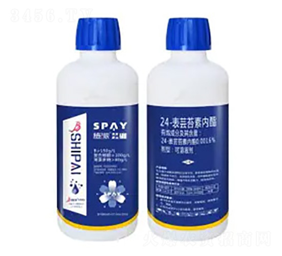 24-���|̦�؃�(n��i)֬-�|��-ʩ������