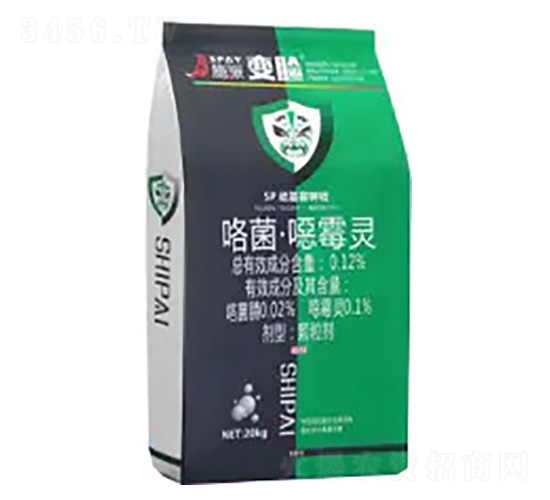 �ߵ���ʩ��׃Ę-ʩ������