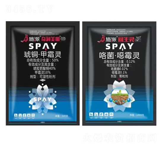 ���à������b-�杙(r��n)����-ʩ������