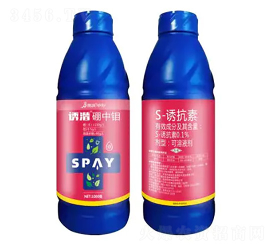 �T�������f-ʩ������