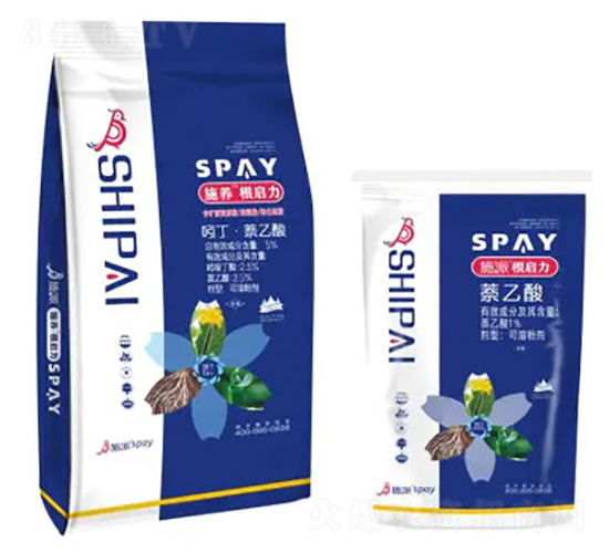 ������-ʩ������