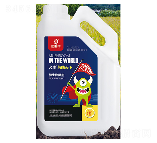 ΢�������-���R����-����S