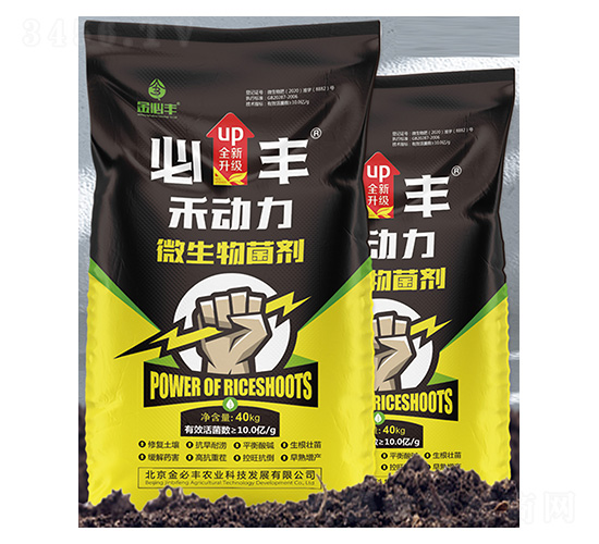 ΢�������-�̄���-����S