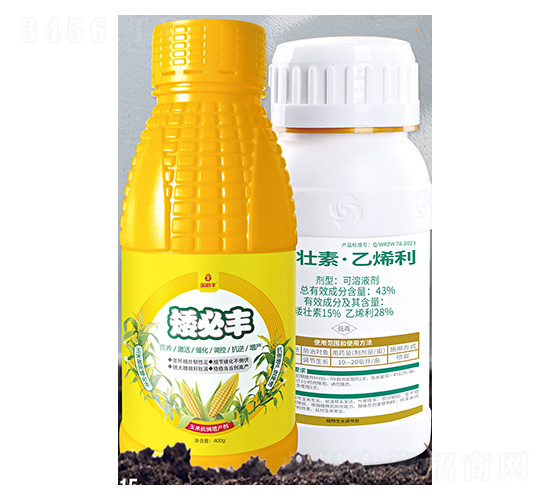 �|���؅^(q��)�������׿������a(ch��n)��-���װ����S-����S