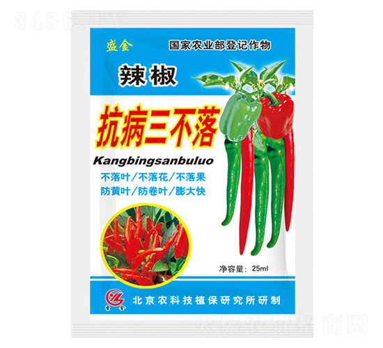 ��������������-ʢ��-ʥ��ʘI(y��)