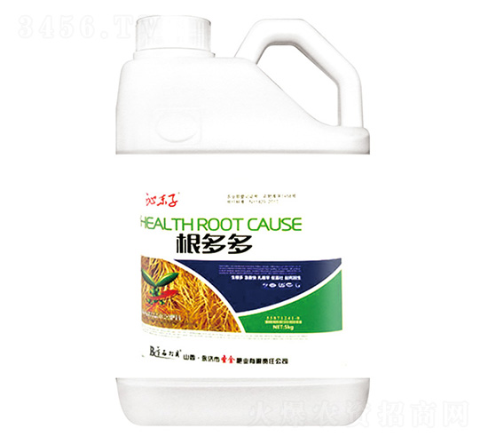 �����-�ߖ|��-ʥ��ʘI(y��)