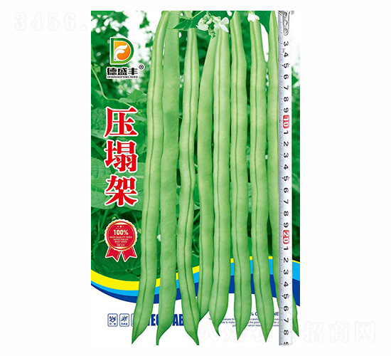 ������-��ʢ�S