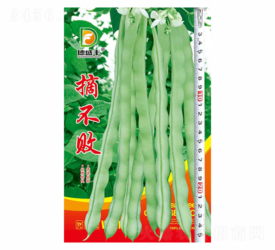 ժ����-��ʢ�S