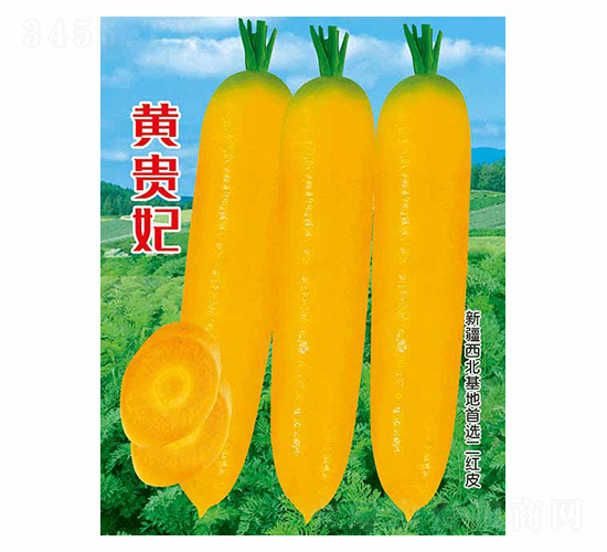 �S�F��-��ʢ�S